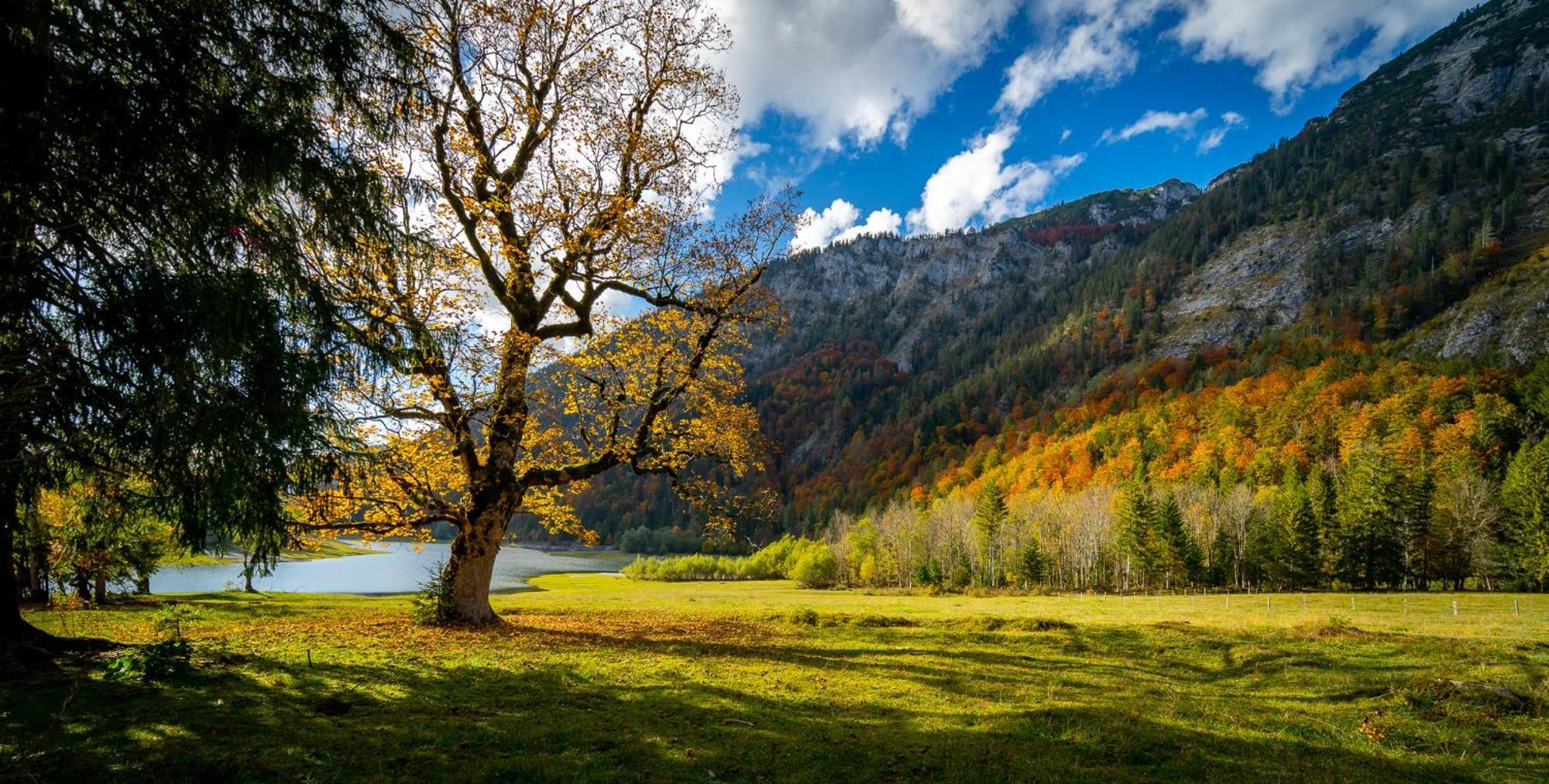 Ferienwohnungen Hollweger Inkl. Chiemgaukarte Ruhpolding Extérieur photo