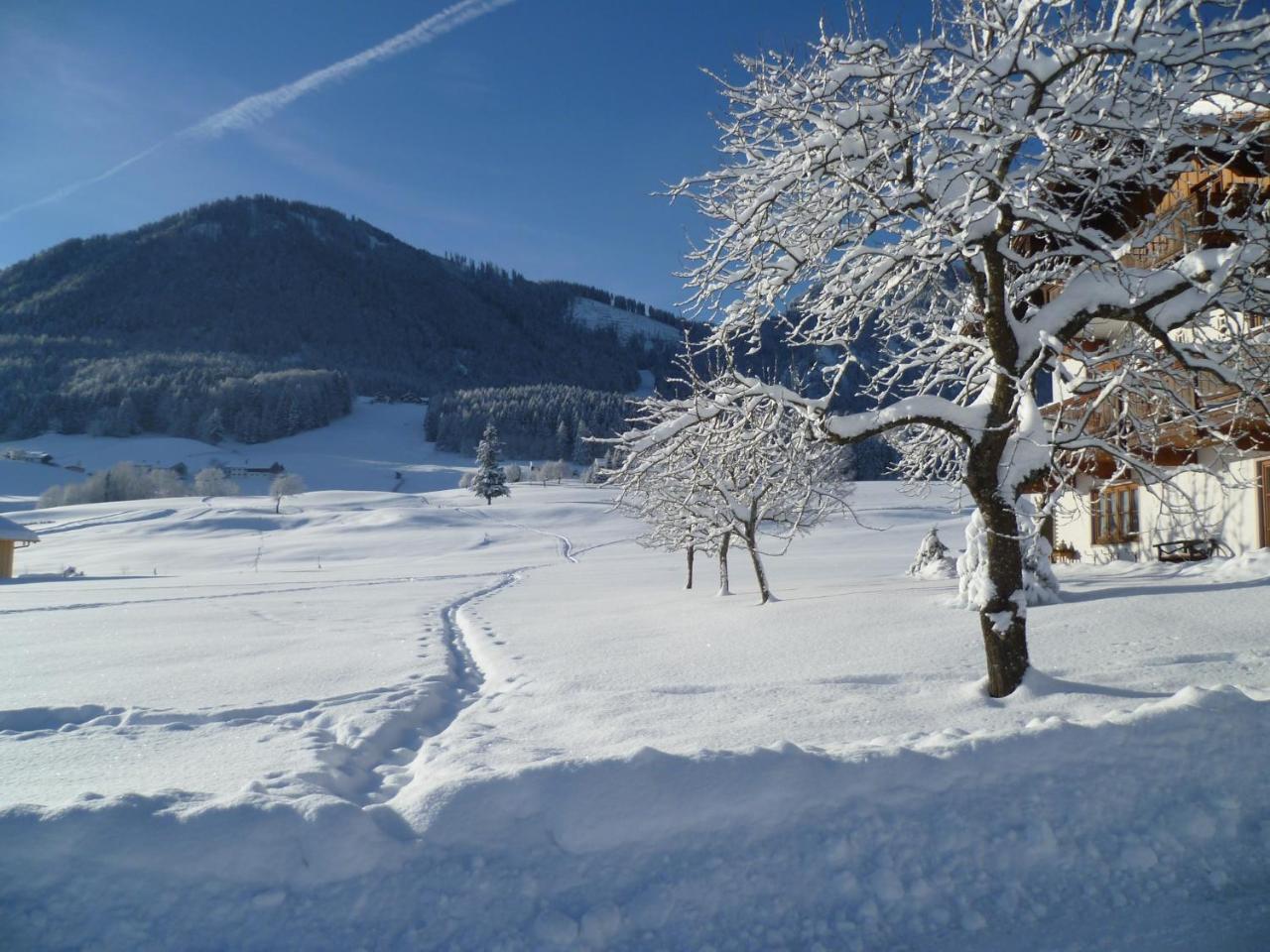 Ferienwohnungen Hollweger Inkl. Chiemgaukarte Ruhpolding Extérieur photo